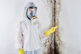 Mold Remediation for Vacation Homes in Madison, MN